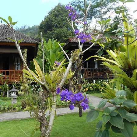 Kubu Alas Tunggal Villa Sidemen  Exterior foto
